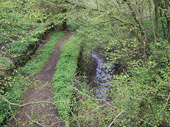 
Along the Thames and Severn Canal between Daneway and Sapperton Tunnel, April 2024