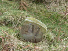 
Henllys Colliery, on the other side of the boundary stones, just an 'M', February 2012