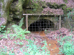 
Cwmcarn, Henllys Colliery drainage level, May 2010