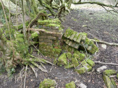 Henllys Colliery, the site and ruins of Tip Terrace, February 2012