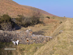 
Henllys Colliery upper reservoir, March 2005