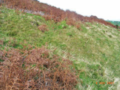 
Henllys Colliery upper reservoir leat at the small quarry, November 2007