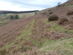 
Henllys Colliery upper reservoir leat from sluice, February 2012