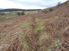 Henllys Colliery upper reservoir leat from sluice, February 2012
