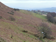 
Henllys Colliery upper reservoir leat from the large quarry, February 2012