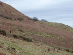 Henllys Colliery upper reservoir leat at the small quarry, February 2012