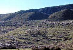 
Henllys Colliery, the large quarry and its incline, March 2005