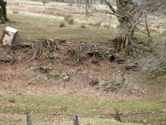 
Henllys Colliery, limekiln or level over Northern boundary fence, February 2012