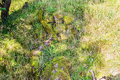 
Henllys Colliery, limekiln or level over Northern boundary fence, September 2016