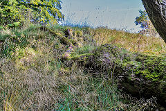 
Henllys Colliery, limekiln or level over Northern boundary fence, September 2016