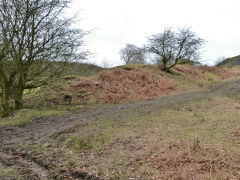 
Henllys Colliery, limekiln or level next to incline below tips, February 2012