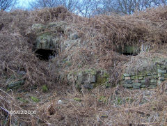 Henllys Colliery, limekilns at Tip Terrace, February 2006