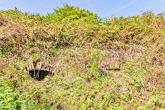 Limekilns opposite Tip terrace, September 2016