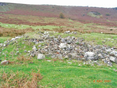 Henllys Colliery, site of main level, November 2007