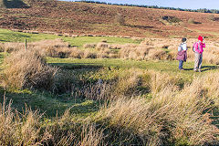 Henllys Colliery, Possible shaft near main level, December 2014