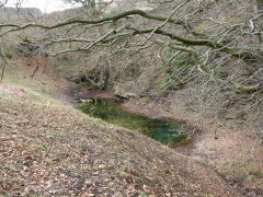 Henllys Colliery quarry, February 2012