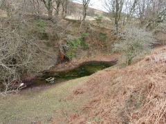 Henllys Colliery quarry and drainage level, February 2012