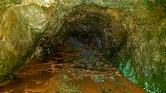 
Henllys Colliery quarry drainage level, August 2016 © Photo courtesy of Kieran Ashman