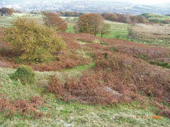 
Henllys Colliery, small quarry incline looking down from halfway, November 2007