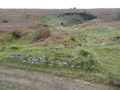 Henllys Colliery, small quarry incline looking up from halfway, January 2012