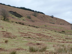 Henllys Colliery, The leat from the small quarry to the Northern workings, February 2012