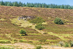 
The small quarry, September 2016