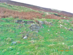 Henllys Colliery, general view of the site, November 2007