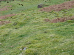 
Henllys Colliery, the incline from the winding drum to the upcast shaft, February 2012