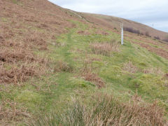 Henllys Colliery, tramway from reservoir to the winding drum, February 2012