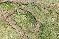 Wire hawser near the engine house, August 2016