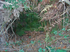 Henllys Colliery, water level above main adit, November 2007
