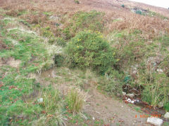 
Henllys Colliery, water level above main adit, November 2007