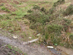 
Henllys Colliery, water level above main adit, February 2012