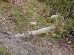 
Henllys Colliery, water level above main adit, February 2012