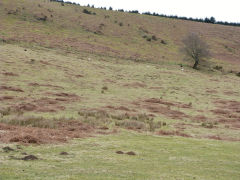 Henllys Colliery, water level leat to lower reservoir, February 2012