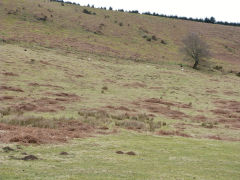 
Henllys Colliery, water level leat to lower reservoir, February 2012