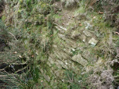 
Henllys Colliery, water level above main adit, February 2012