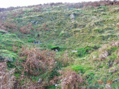 Henllys Colliery, Northern workings beyond the small quarry, November 2007