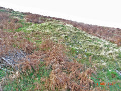 
Henllys Colliery, Northern workings beyond the small quarry, November 2007