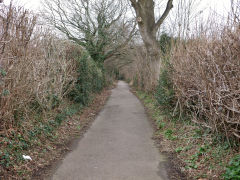 Course of tramway from Coed Eva Lane looking up, February 2012