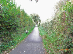 
At the only bend in the tramway is the foot of the lower incline, November 2007