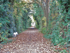 Incline at lower end of the lower incline, November 2007