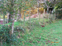 
Henllys Incline, upper incline between Machine Cottage and Llywarch Lane, November 2007