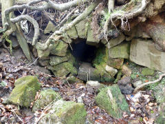 
Henllys Incline, battered old culvert below the tips, February, 2012