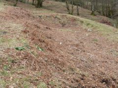 Henllys Incline, Foundations of building next to upper incline passing loop, February 2012