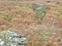 
Henllys Colliery, levels to the South-West of main adit, November 2007