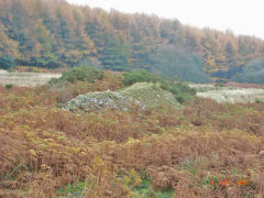 
Henllys Colliery, levels to the South-West of main adit, November 2007