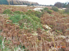 
Henllys Colliery, levels to the South-West of main adit, November 2007