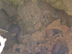 Henllys, Collapse near Twmbarlwm, May 2012