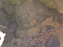 
Henllys, Collapse near Twmbarlwm, May 2012